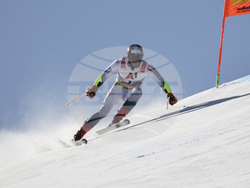 Austria Ski Worlds
