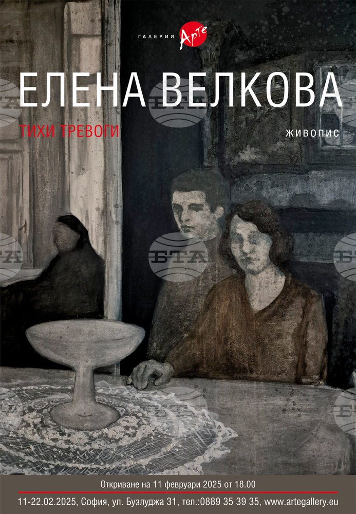 Елена Велкова - Трифонова показва своите „Тихи тревоги“ в нова изложба
