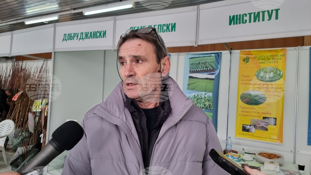 Състоянието на посевите е много добро, увери проф. Иван Киряков от "Добруджански земеделски институт" - Генерал Тошево