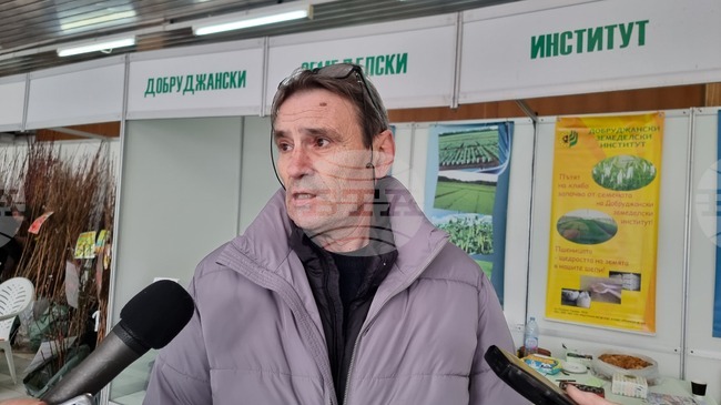 Състоянието на посевите е много добро, увери проф. Иван Киряков от "Добруджански земеделски институт" - Генерал Тошево
