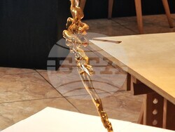 Представяне на номинациите за наградите „Икар“, снимки – Даниел Димитров/БТА