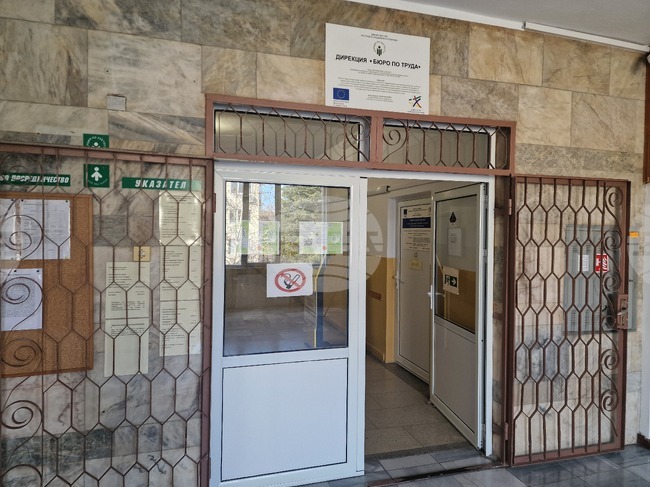 Учители и одитори са сред висококвалифицираните специалисти, които търси пазарът на труда в Търговищко