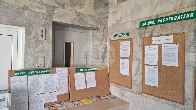 По-малко от 15 процента от обявените свободни работни места в бюрата по труда в Търговищко са за хора с висше образование