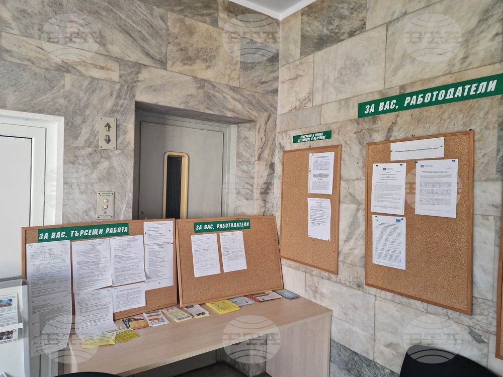 По-малко от 15 процента от обявените свободни работни места в бюрата по труда в Търговищко са за хора с висше образование