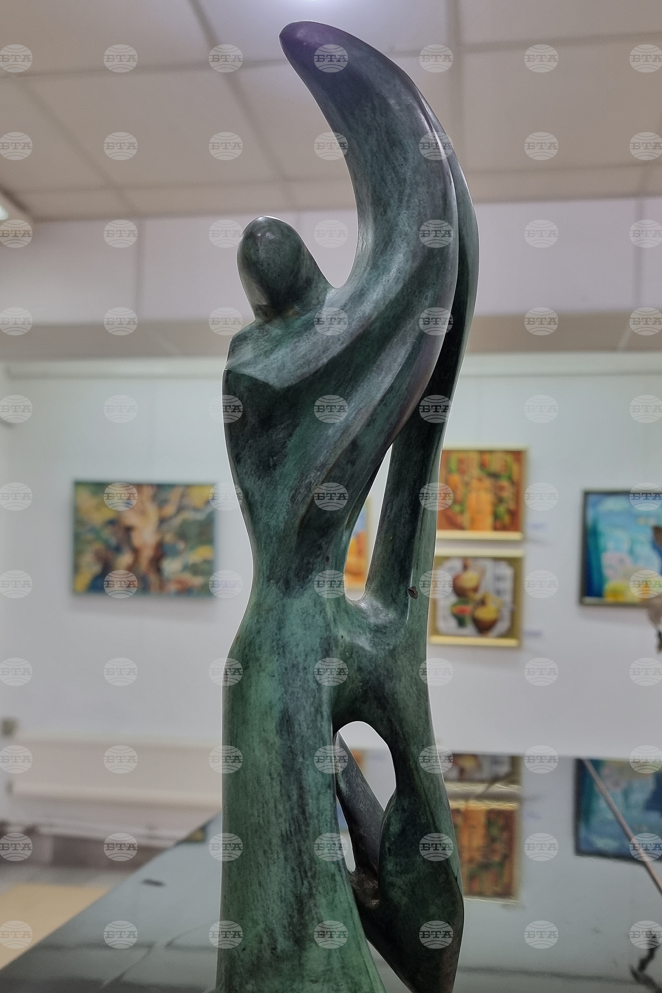 Монтана - Александър Пройнов - изложба