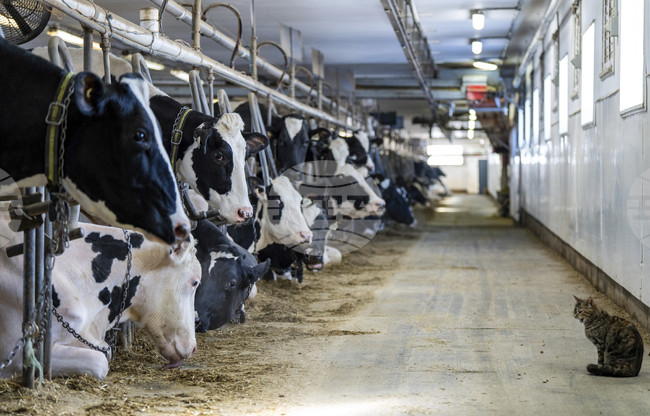 Доналд Тръмп ще обяви помощи на стойност 12 милиарда долара за засегнатите от търговската война фермери, заяви високопоставен представител на Белия дом