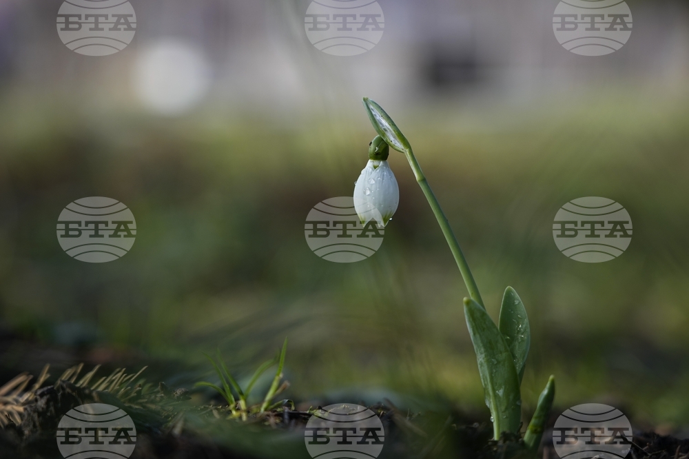 Януари 2026 г. е сред петте най-топли в историята въпреки студените вълни, сочи Европейската програма за наблюдение „Коперник“