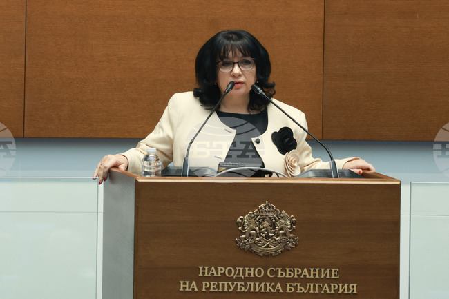 Неразплатени разходи за над 4 млрд. лева са прехвърлени към бюджета за 2025 година, каза министърът на финансите Теменужка Петкова
