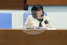 Народно събрание - заседание