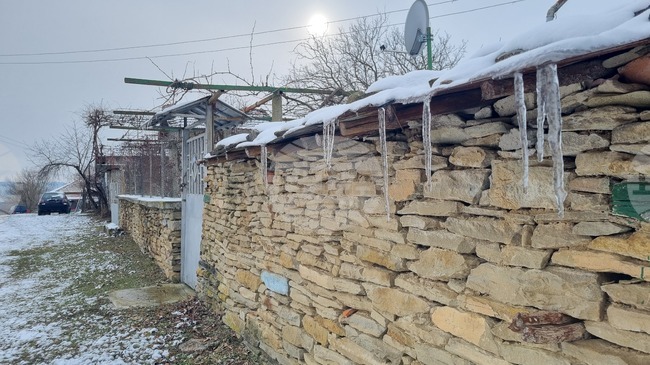 Количества валежи в пъти над нормата са паднали в Търговищка област през декември 2024 г.