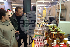 Плевен - пчеларство - изложение