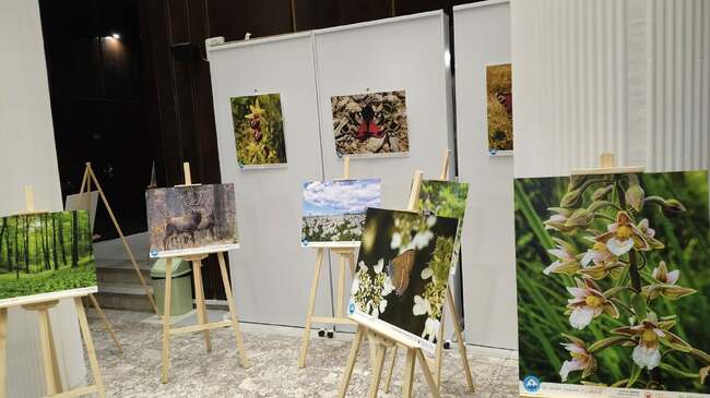 Изложбата за Природен парк „Сините камъни“ ще остане експонирана за срока, поискан от организаторите, обяви кметът на Сливен