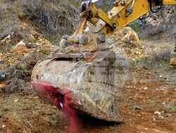 Снимка: Община Асеновград