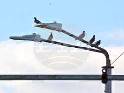 Снимка: Община Варна