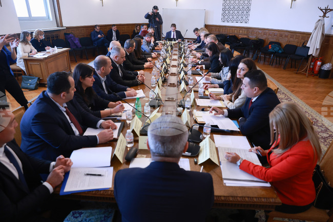 Работна група трябва да изготви ръководство за прилагане на мерки в България срещу вредителя Черна златка