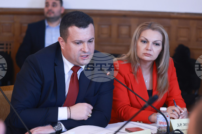 Всички горски територии, които не са се възстановили естествено, се залесяват, посочи ресорният зам.-министър на земеделието и храните