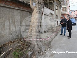 Снимка: Община Сливен