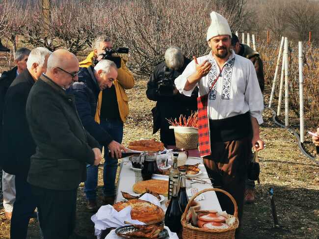С ритуално зарязване на лозята българите в Извоареле в Румъния отбелязаха Трифон Зарезан