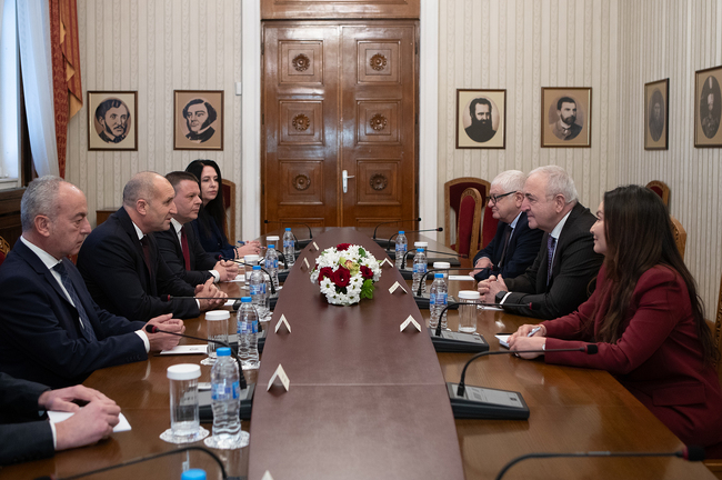 Постигането на мир в региона е от ключово значение за многостранното икономическо сътрудничество в Черно море, заяви президентът Румен Радев