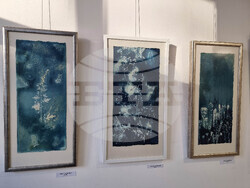 Ямбол - „Светлини и сенки в синьото" - изложба