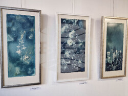 Ямбол - „Светлини и сенки в синьото" - изложба