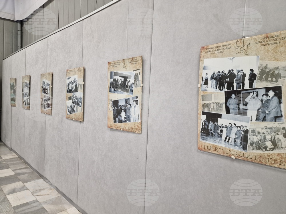 Търговище - „Художници-галеристи“ - изложба