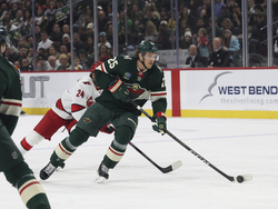 Hurricanes Wild Hockey