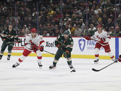 Hurricanes Wild Hockey