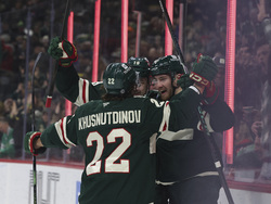 Hurricanes Wild Hockey