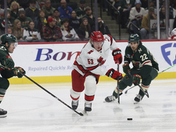 Hurricanes Wild Hockey