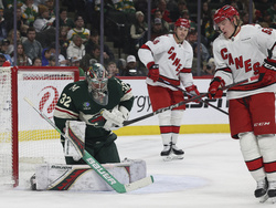 Hurricanes Wild Hockey