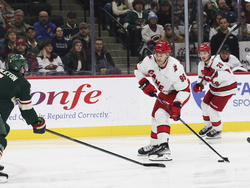 Hurricanes Wild Hockey