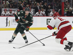 Hurricanes Wild Hockey