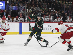Hurricanes Wild Hockey