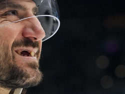 Maple Leafs Kraken Hockey