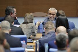 Парламент - парламентарен контрол