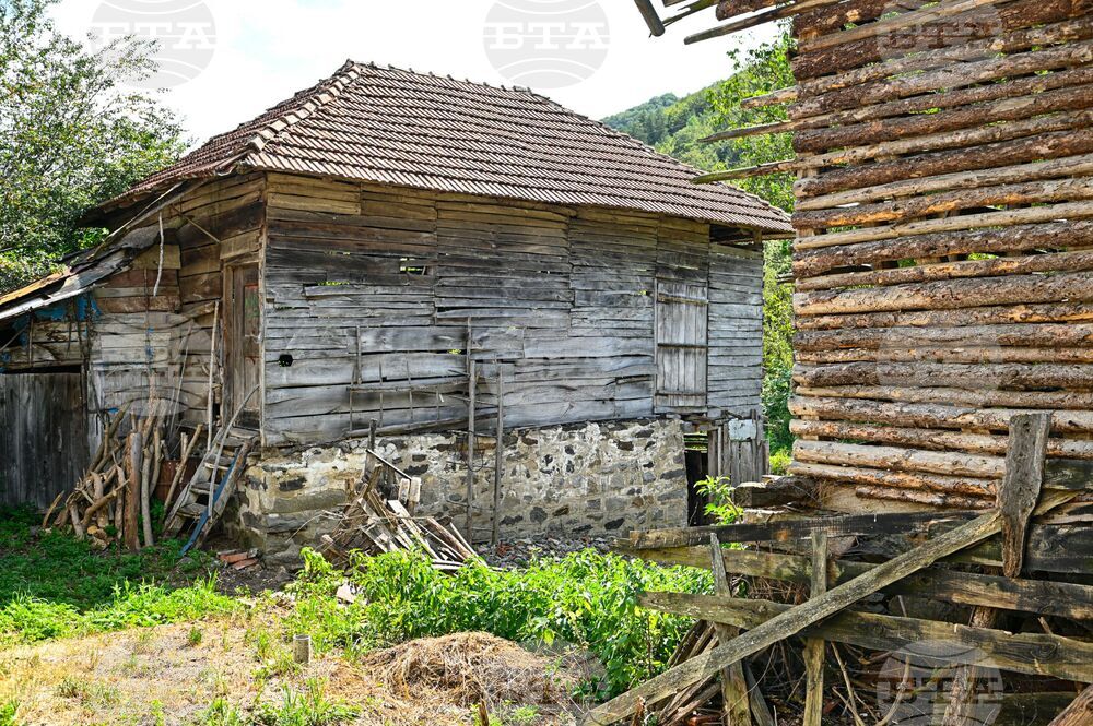 Сърбия - Село Горна Любата