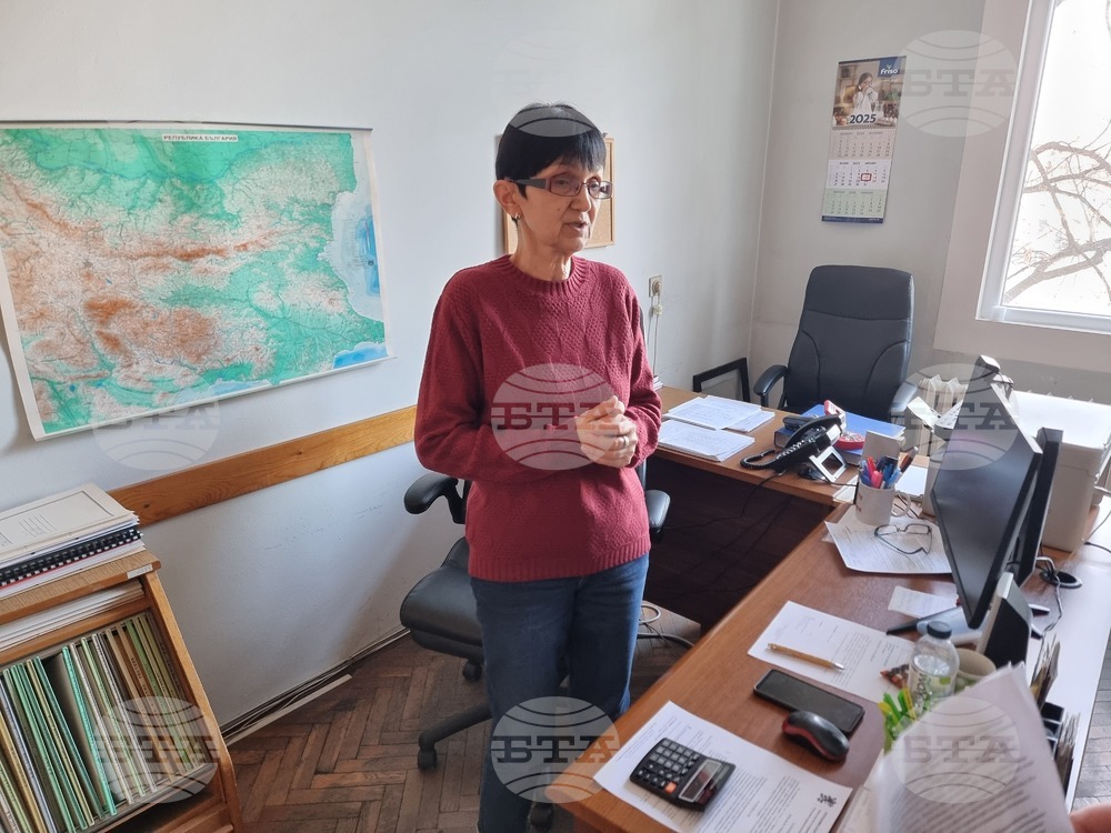 Във Видин няма регистрирани случаи на менингококови заболявания за последните 10 г., каза д-р Пепа Цветанова от РЗИ