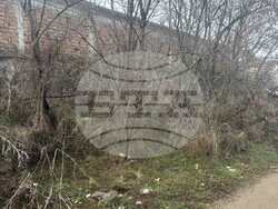 Снимка: Община Асеновград