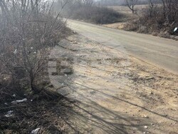 Снимка: Община Асеновград