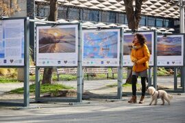 Бургас - „Сини хоризонти: Вдъхновения от брега" - изложба