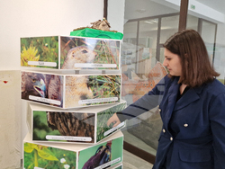 Самоков - Посетителски център на Национален парк "Рила"