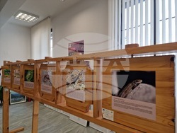 Самоков - Посетителски център на Национален парк "Рила"