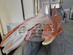 Самоков - Посетителски център на Национален парк "Рила"