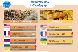 Цени на основни зърнени стоки по световните борси през седмицата 4-7 февруари