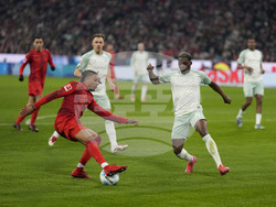 Germany Soccer Bundesliga