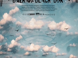 Документален филм разказва за музиканта Никола Груев-Котарашки, снимка – екип