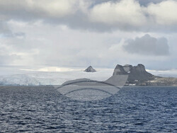 Антарктида - НИК 421 - остров Кинг Джордж