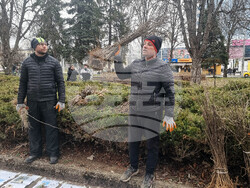 Плевен - подаряване на дръвчета - кампания