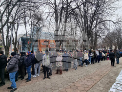 Плевен - подаряване на дръвчета - кампания